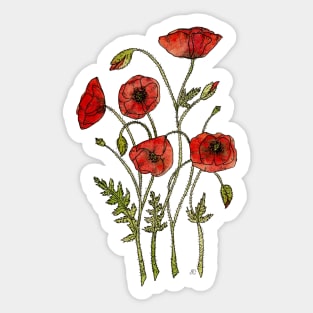 Poppies Botanical Illustration Sticker